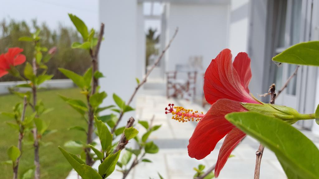 Akrotiri Skyros Exterior foto